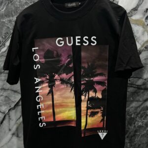 Geesss 2